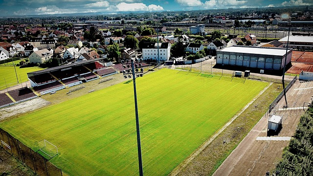 换人调整 换人调整