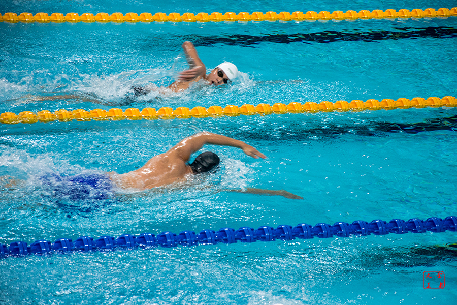 从珍珠奶茶 从珍珠奶茶