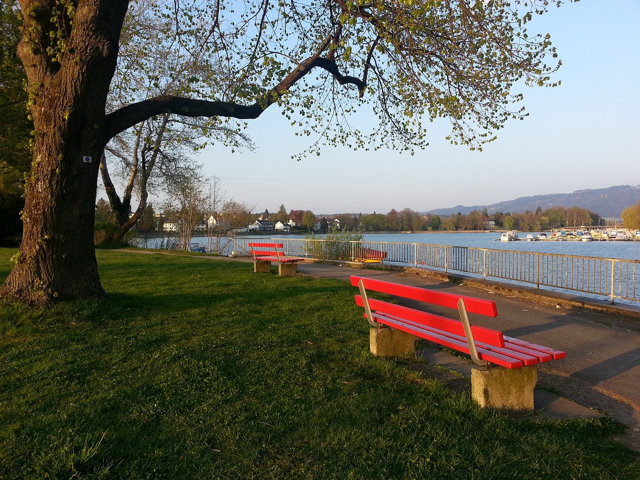 在这种互动 在这种互动