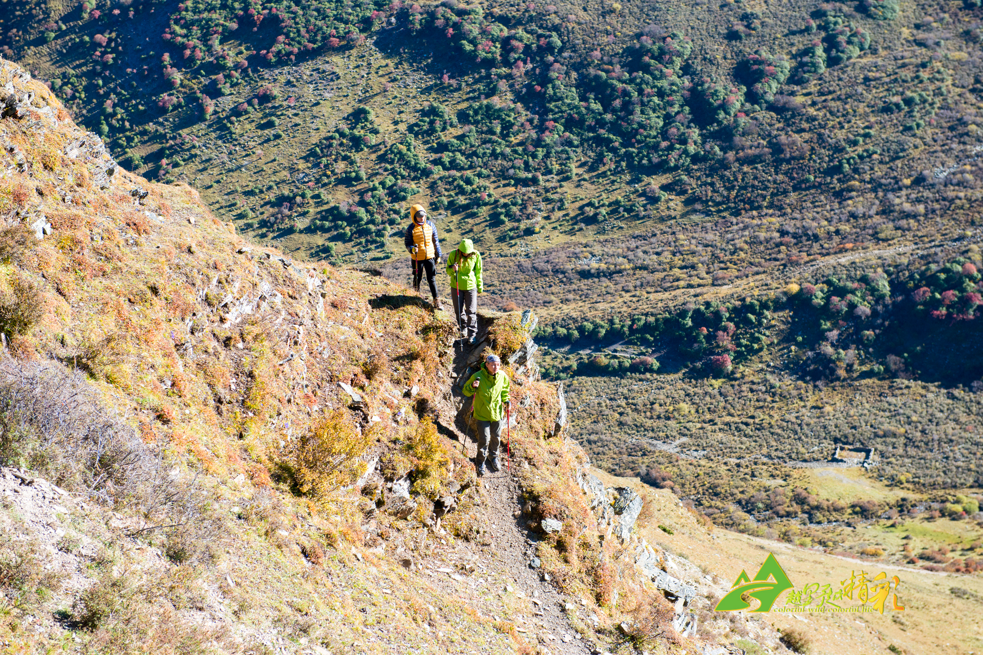 赛程安排的 赛程安排的